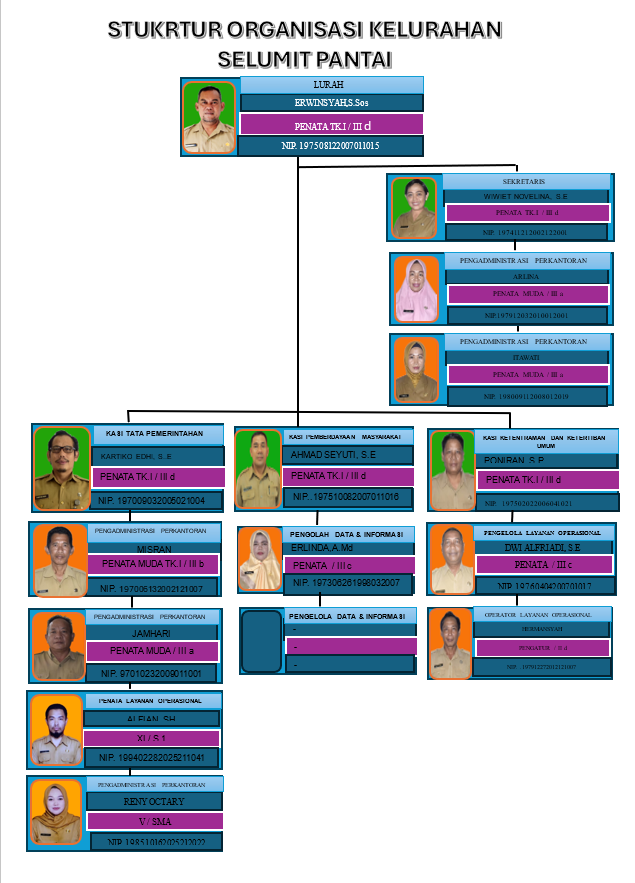 Struktur Organisasi Kelurahan